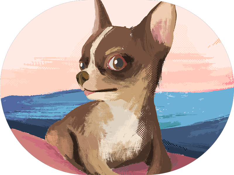 Foto 3 de Consultório Odontológico Dra Patrícia César