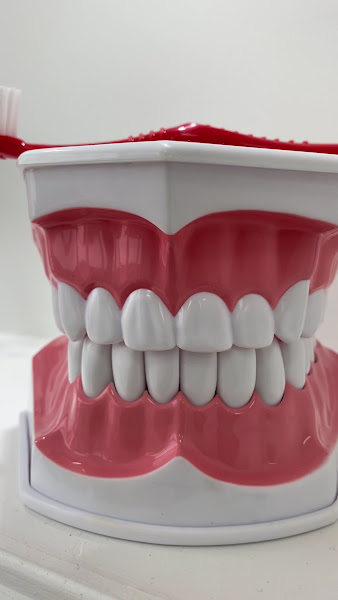 Foto 3 de Consultorio Odontologico Dra Shirlane Sarkis