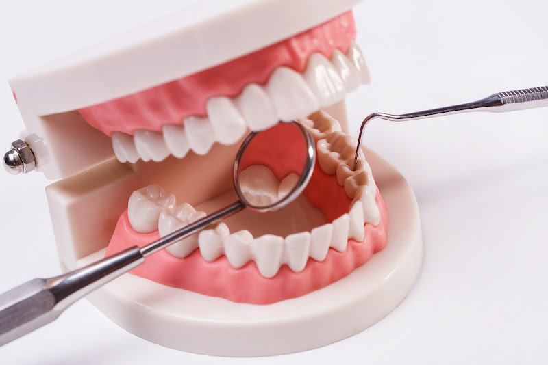 Foto 3 de Consultório Odontológico Dra Vânia Martins