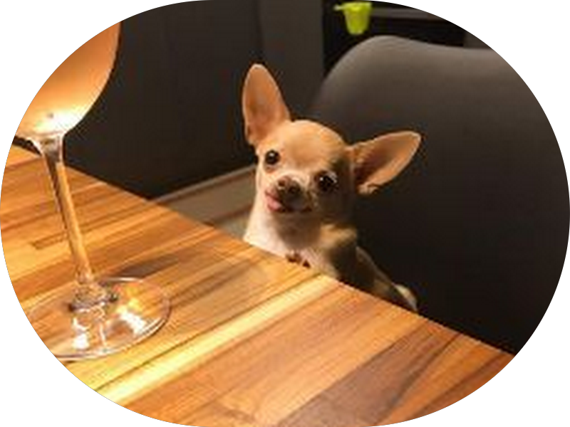 Foto 2 de Consultório Odontológico - Lia Ferreira Alves e Leslie Alves