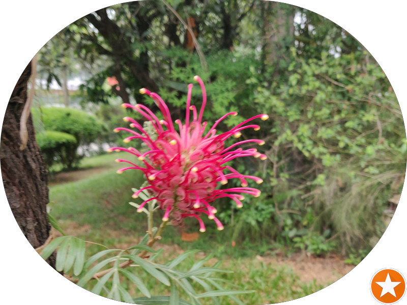 Foto 8 de Consultório Odontológico Morumbi ,implantes, proteses , harmonização Facial, Botox, facetas, preenchimento labial