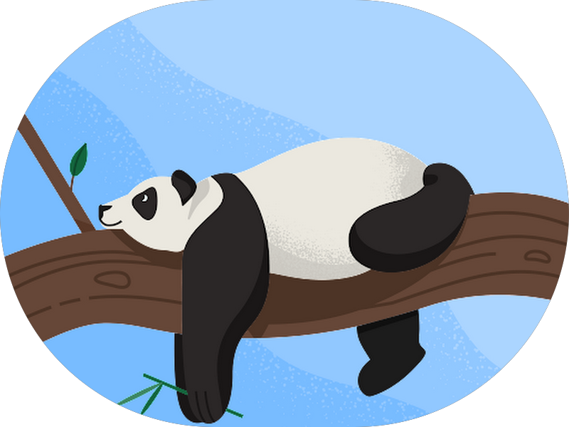 Foto 3 de Consultório Odontológico ORTHOCLINIIC