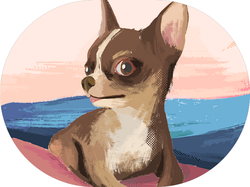 Foto 3 de Consultório Odontológico Rei Das Lentes