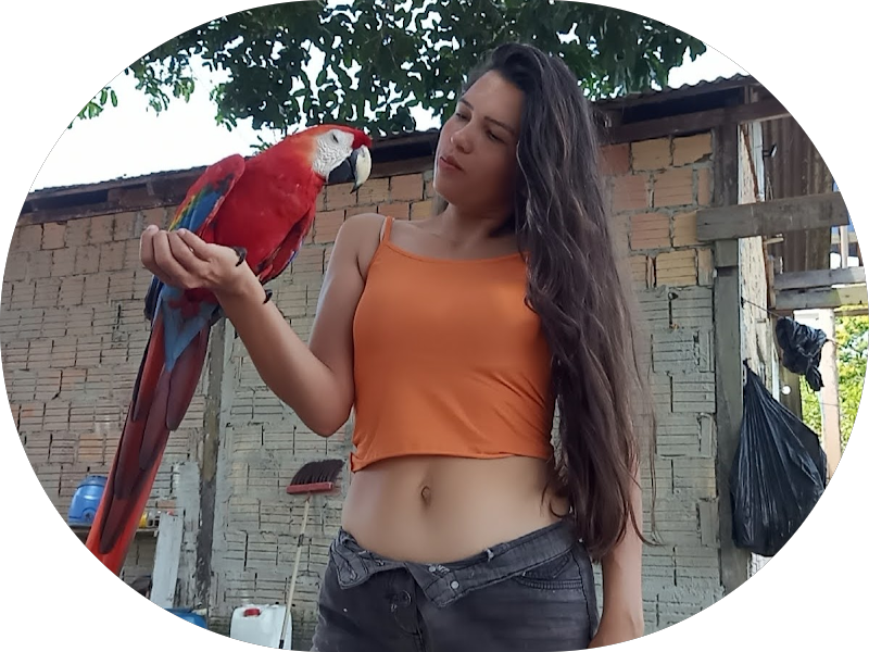 Foto 2 de Consultório Odontológico Souza