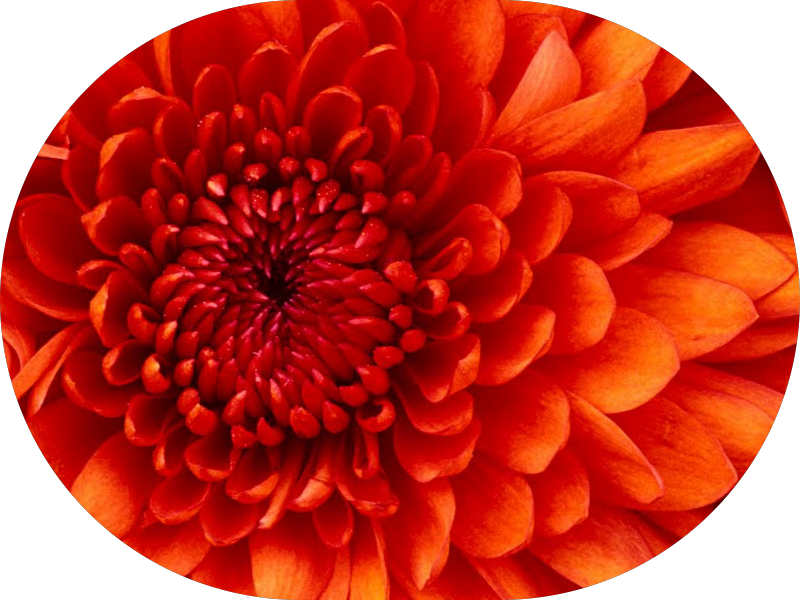 Foto 6 de Consultório Odontológico WM | Ortodontia | Implantes | Tratamento de Canal | Zona Norte Sorocaba