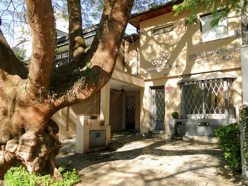 Foto 7 de Consultório Schmidt - Ortodontia e Odontopediatria