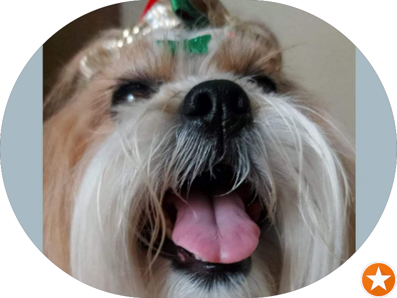 Foto de Consultório Tokashiki