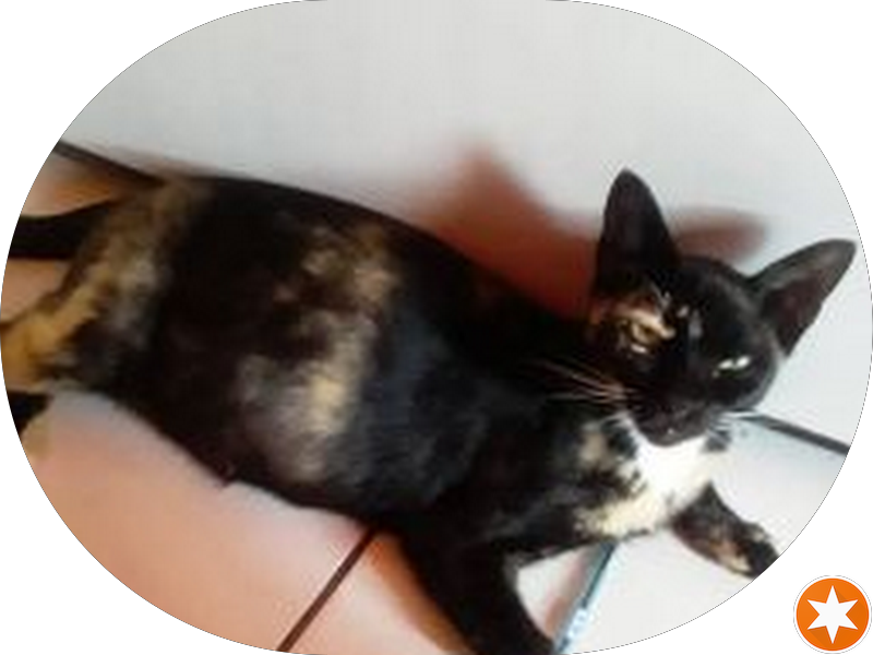 Foto 3 de Consultorio Uni sorriso