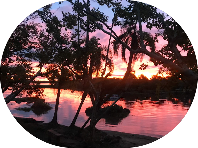 Foto 2 de COR - Centro de Odontologia Restauradora