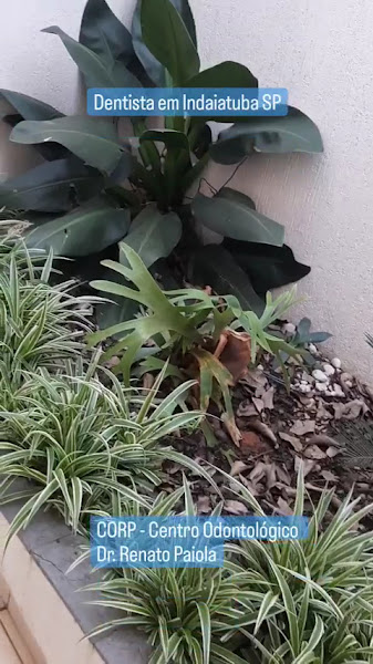 Foto 3 de CORP – Centro Odontológico / Dr. Renato Paiola / Dentista em Indaiatuba