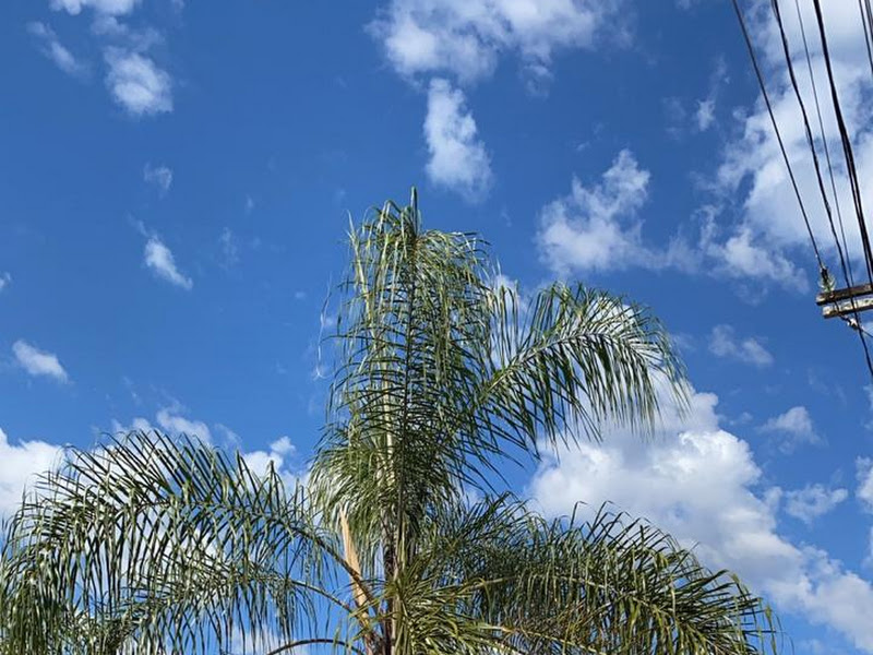 Foto 2 de COS Clínica Odontológica