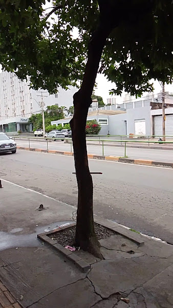 Foto de Coss Odontologia