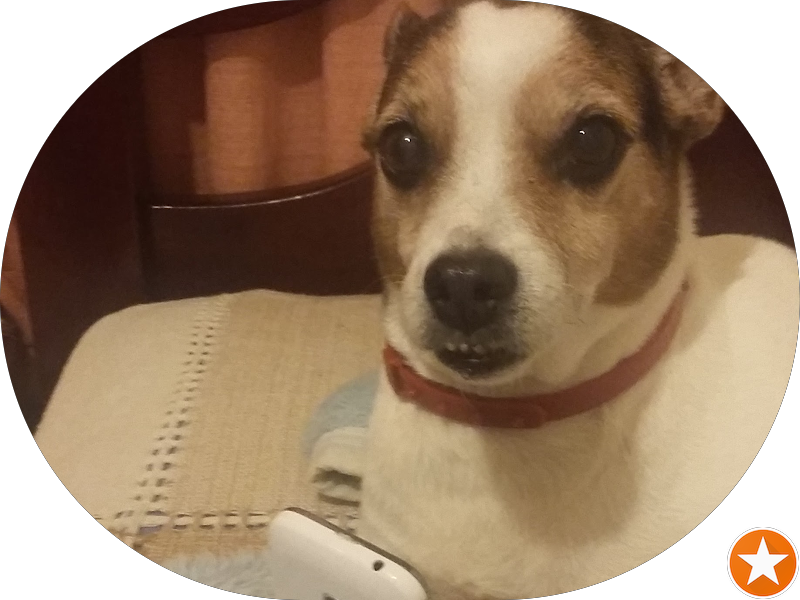 Foto 3 de COTA Consultório Odontológico Tashiro