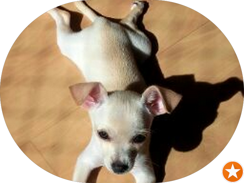 Foto 4 de Cozzi Odontologia e Estética - Dentista Freguesia (Jacarepaguá)