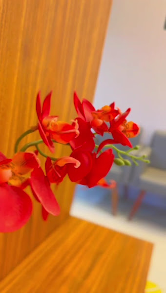 Foto 3 de CPOVale | Pós-Graduação em (Endodontia, Prótese, Cirurgia, Implantes, ortodontia)