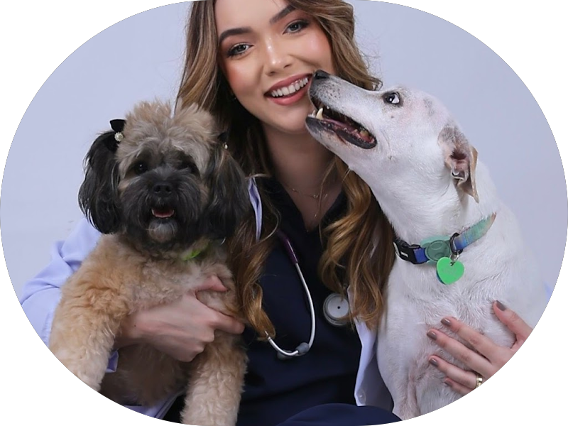 Foto 5 de CR Montenegro Odontologia | Ortodontia | Invisalign Doctor Recife | DTM | Sono | Lentes de contato | Estética