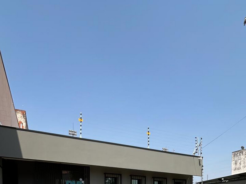 Foto de Crânio Doc - Salto