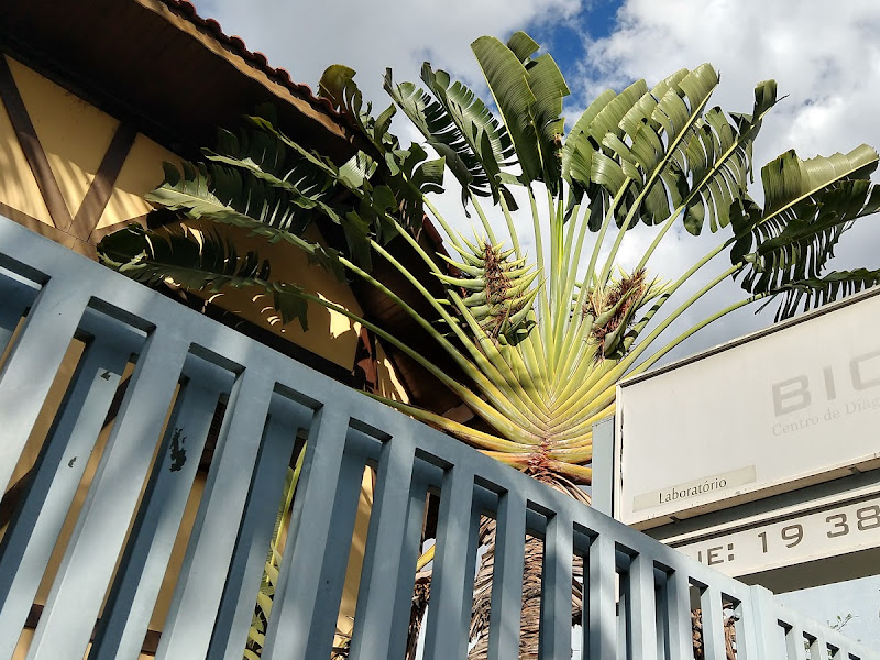 Foto 3 de CRDI - Centro de Radiologia e Diagnóstico por Imagem