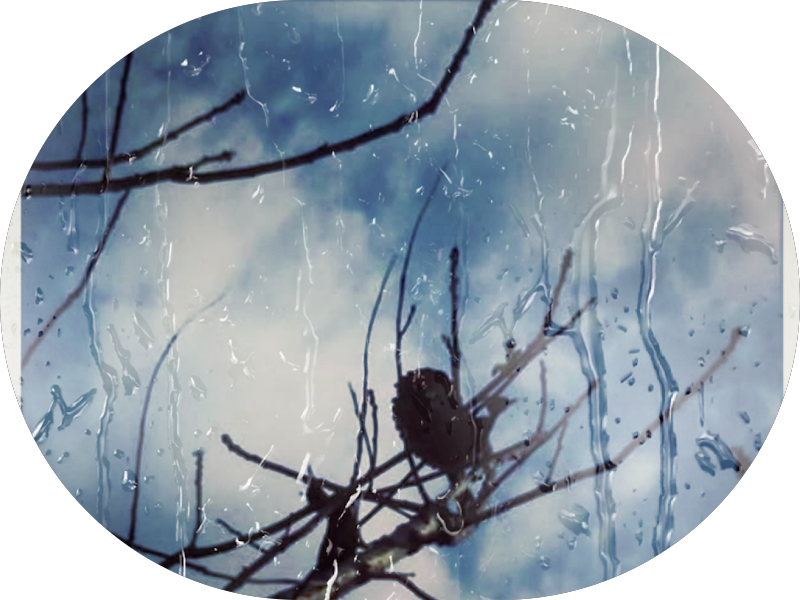 Foto 3 de CRISTAL Odontologia e Estética