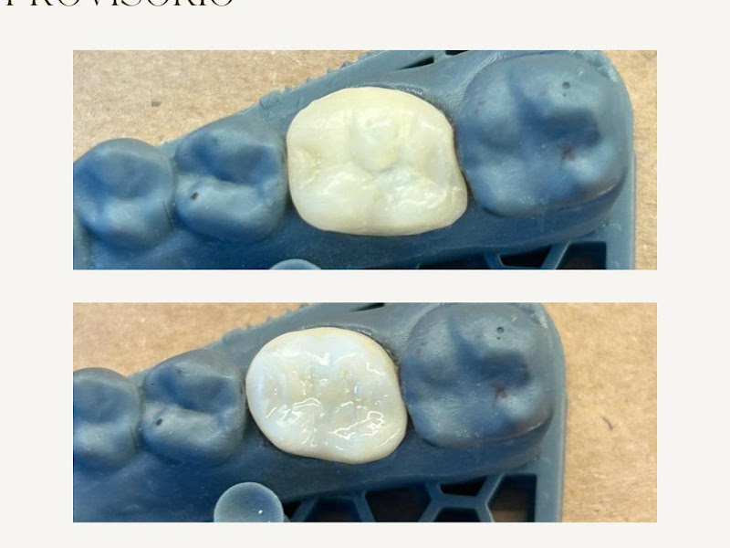 Foto 3 de Cristiane Perillo Vasconcelos Rodrigues