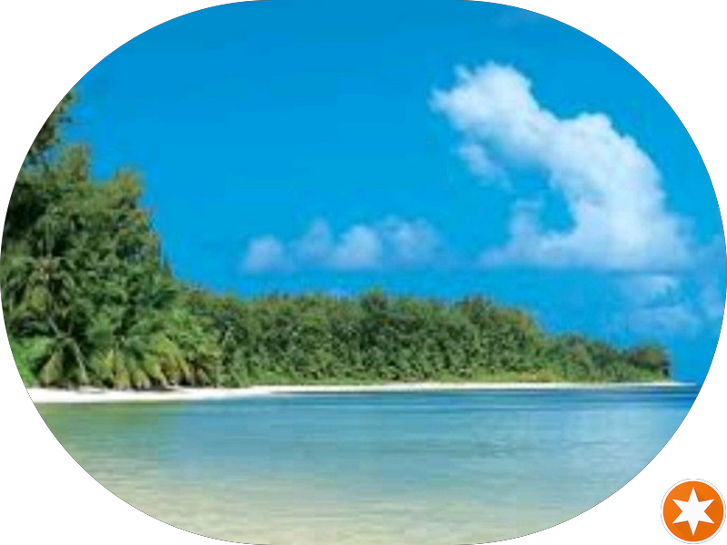 Foto 3 de Cristine Kitayama