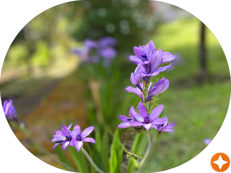 Foto 7 de CRO Centro de Reabilitação em Odontologia