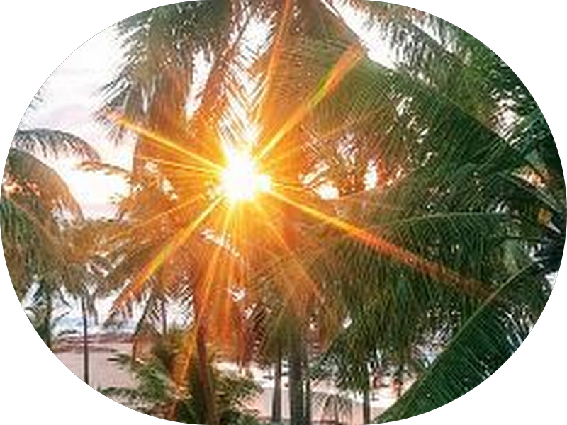 Foto 4 de Cto Odontologia