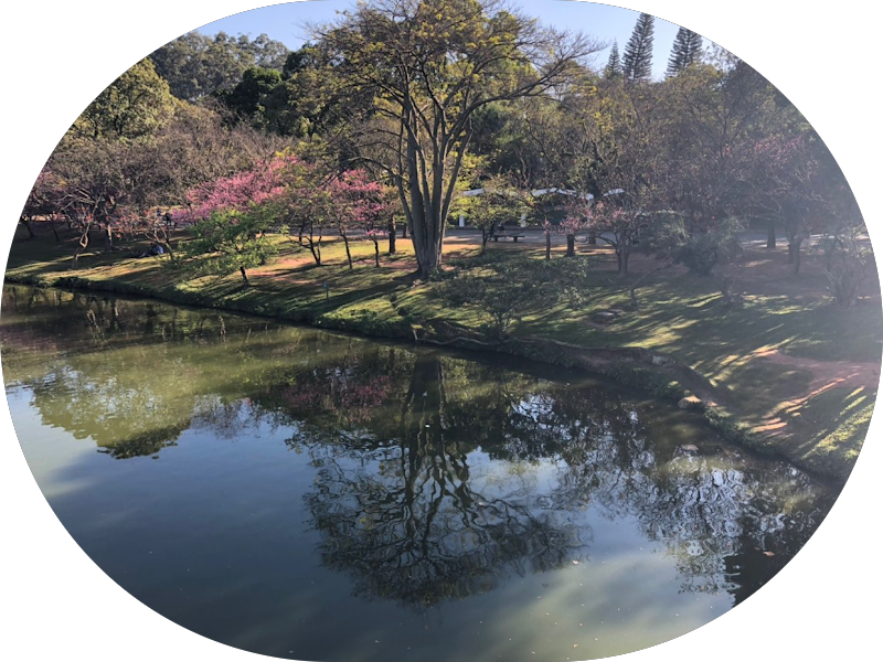 Foto 5 de Cuidalli Clínica Odontológica no Bairro da Saúde - SP- Melhores Dentistas em Implantes Dentários