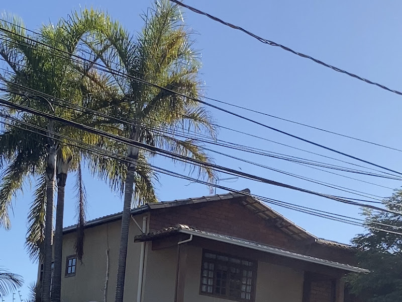 Foto 2 de Cyntia de Rezende Lima Pereira