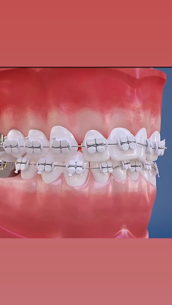 Foto 3 de D&D Odontologia