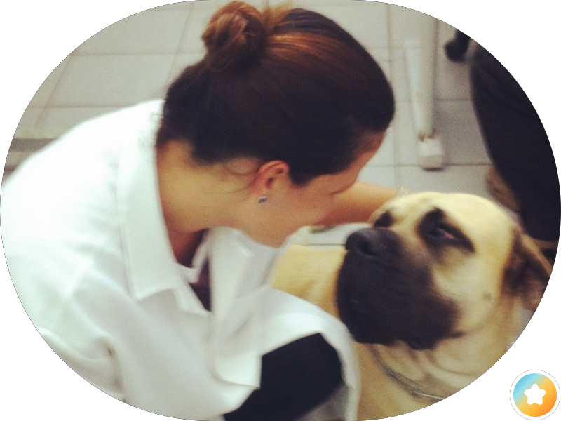 Foto 3 de D.E. Odontologia