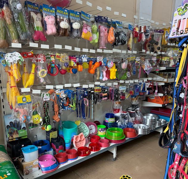 Foto 2 de D’Prata Pet