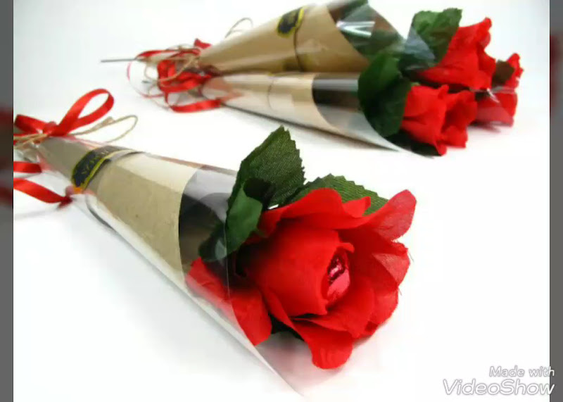 Foto 4 de Dalí Odontologia