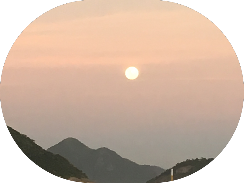 Foto de Daniela de Azevedo Ody