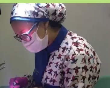 Foto 3 de Daniela F. Medeiros Lima - Odontopediatra