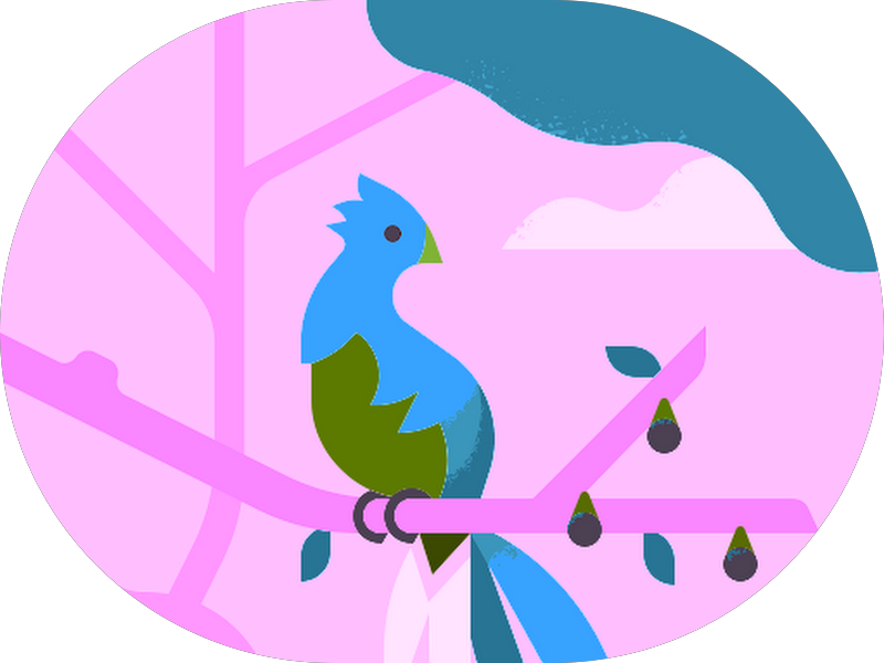 Foto 5 de Denardi Odontologia