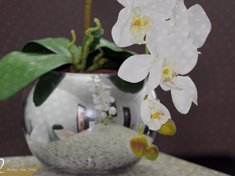 Foto 2 de Dent Center