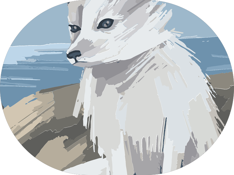 Foto 4 de Dental Arte Florianópolis - Clínica Odontológica