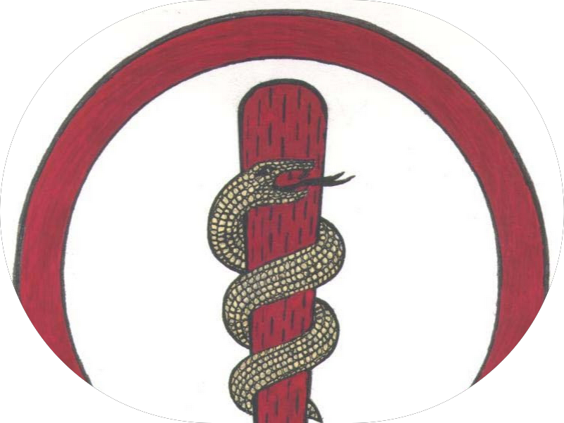 Foto 3 de Dental Center