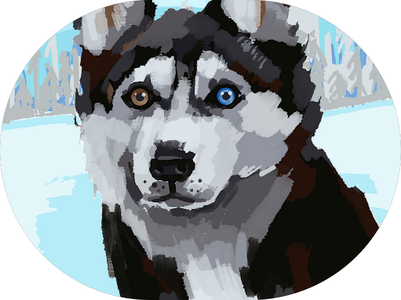 Foto 3 de Dental Max