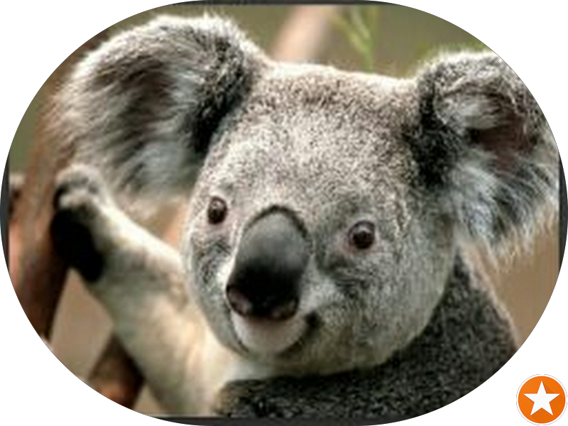 Foto de DENTAL ODONMEDICA MARABA