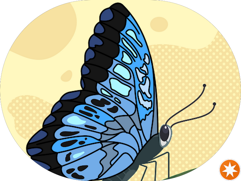 Foto 2 de Dental Shopping