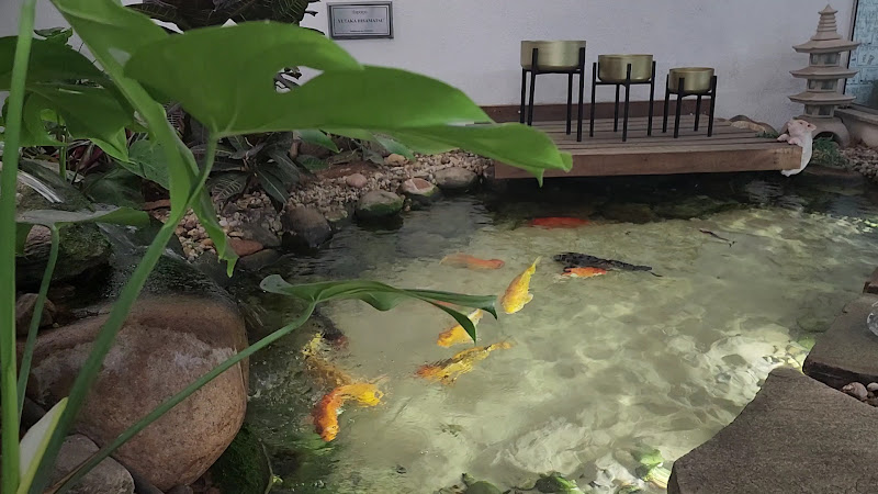 Foto 4 de Dentale Clínica Odontológica