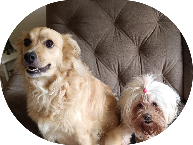 Foto 5 de Dentali Odontologia Integrada