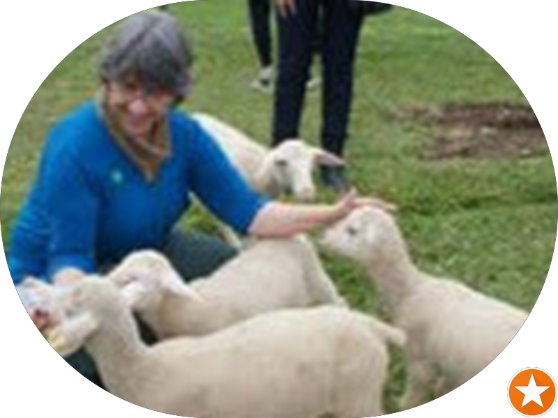 Foto 3 de Dentallis Odontologia Contemporânea