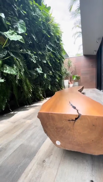 Foto 4 de Dentart | Clínica Odontologica em Sorocaba