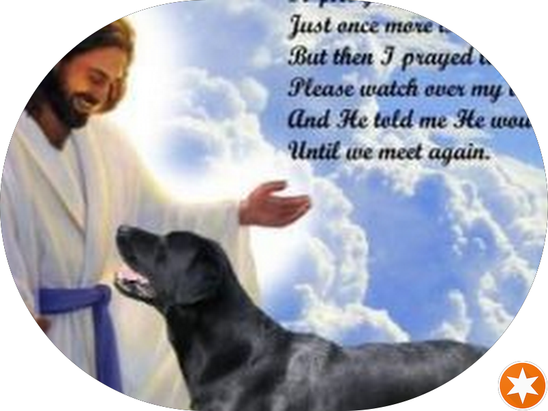 Foto 2 de DENTE CLEAN