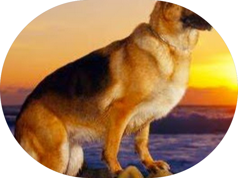 Foto 5 de DenteClin - Sobradinho II