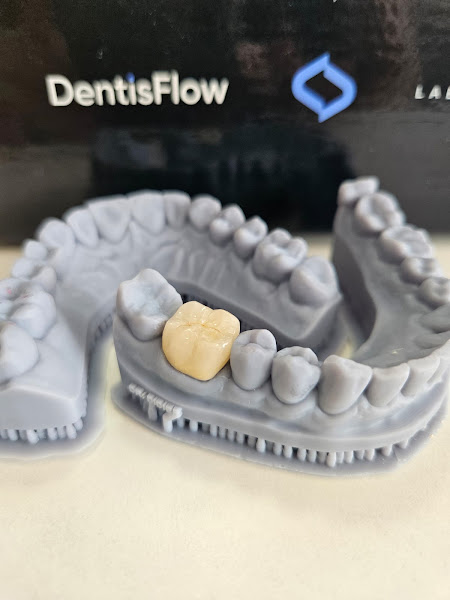 Foto 3 de Dentis Flow Laboratório de Prótese Dentária