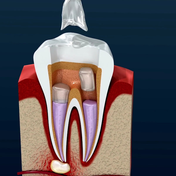 Foto 4 de Dentista 24 Horas